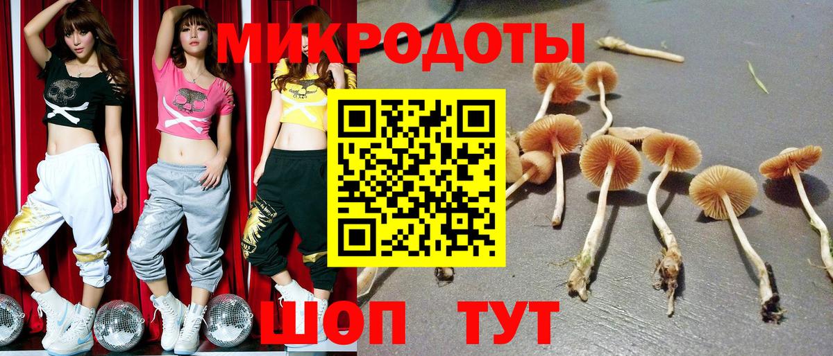 Саранск  Псилоцибиновые грибы мухоморы  Вход с VPN  Галлюциногенные грибы GOLDEN TEACHER 