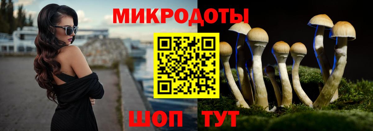 Псилоцибиновые грибы Magic Shrooms Саранск